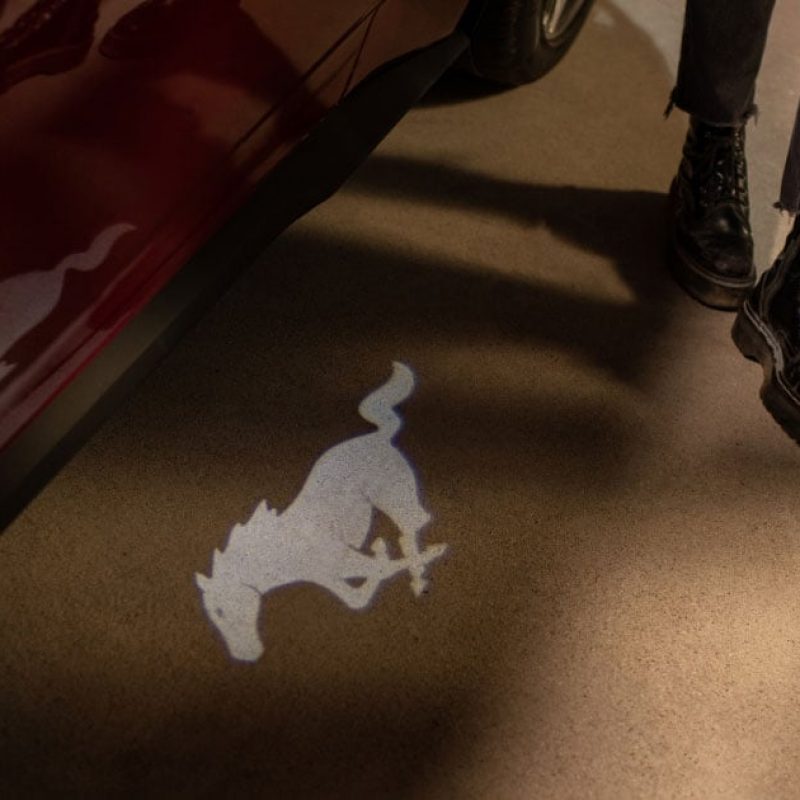 fcl-nuevo-mustang-gal-over-1
