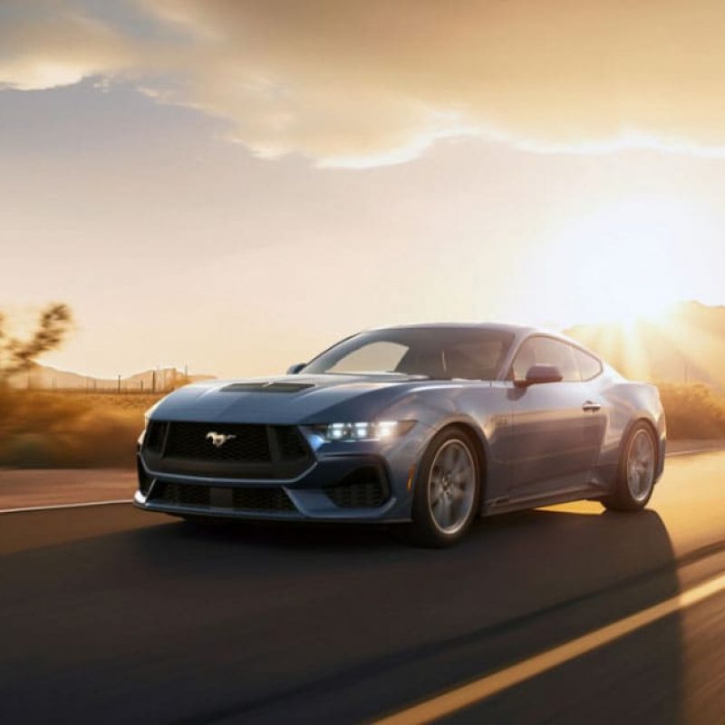 fcl-nuevo-mustang-gal-over-7
